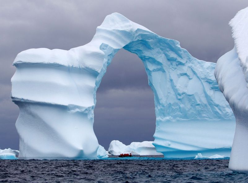 Poolexpeditie Antarctica - Drake Passage - Beagle Channel - Zuidelijke Shetlandeilanden - migratie walvissen